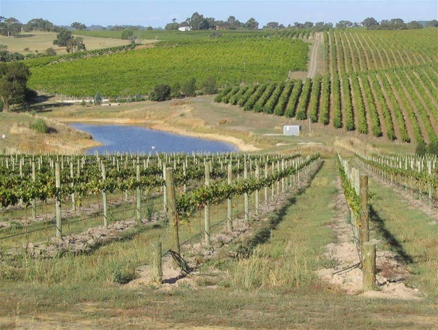 Bellevue Bed & Breakfast Mclaren Vale Buitenkant foto